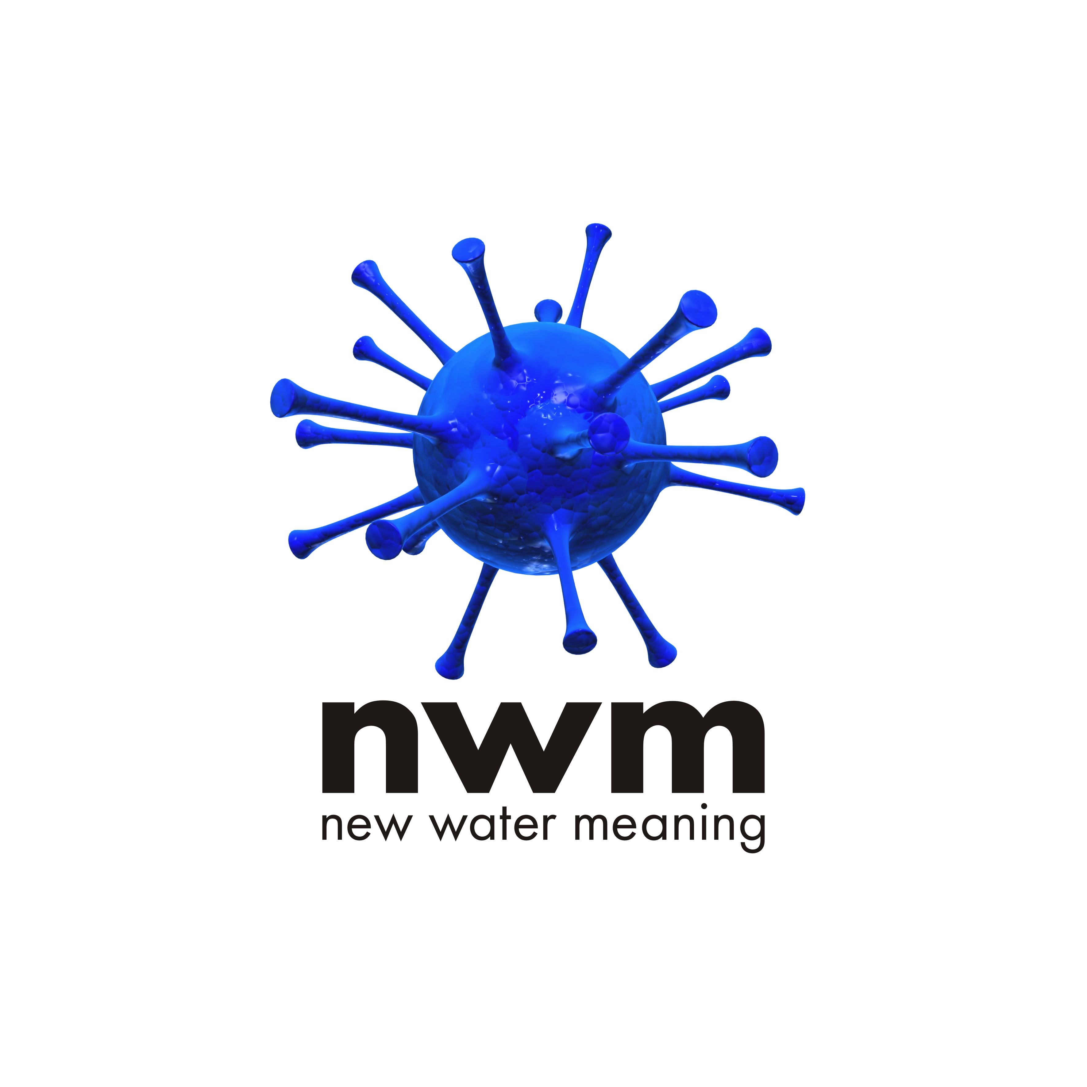 NWM